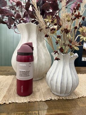 Special Edition Holiday Owala 32oz Stainless Steel FreeSip Poinsettia